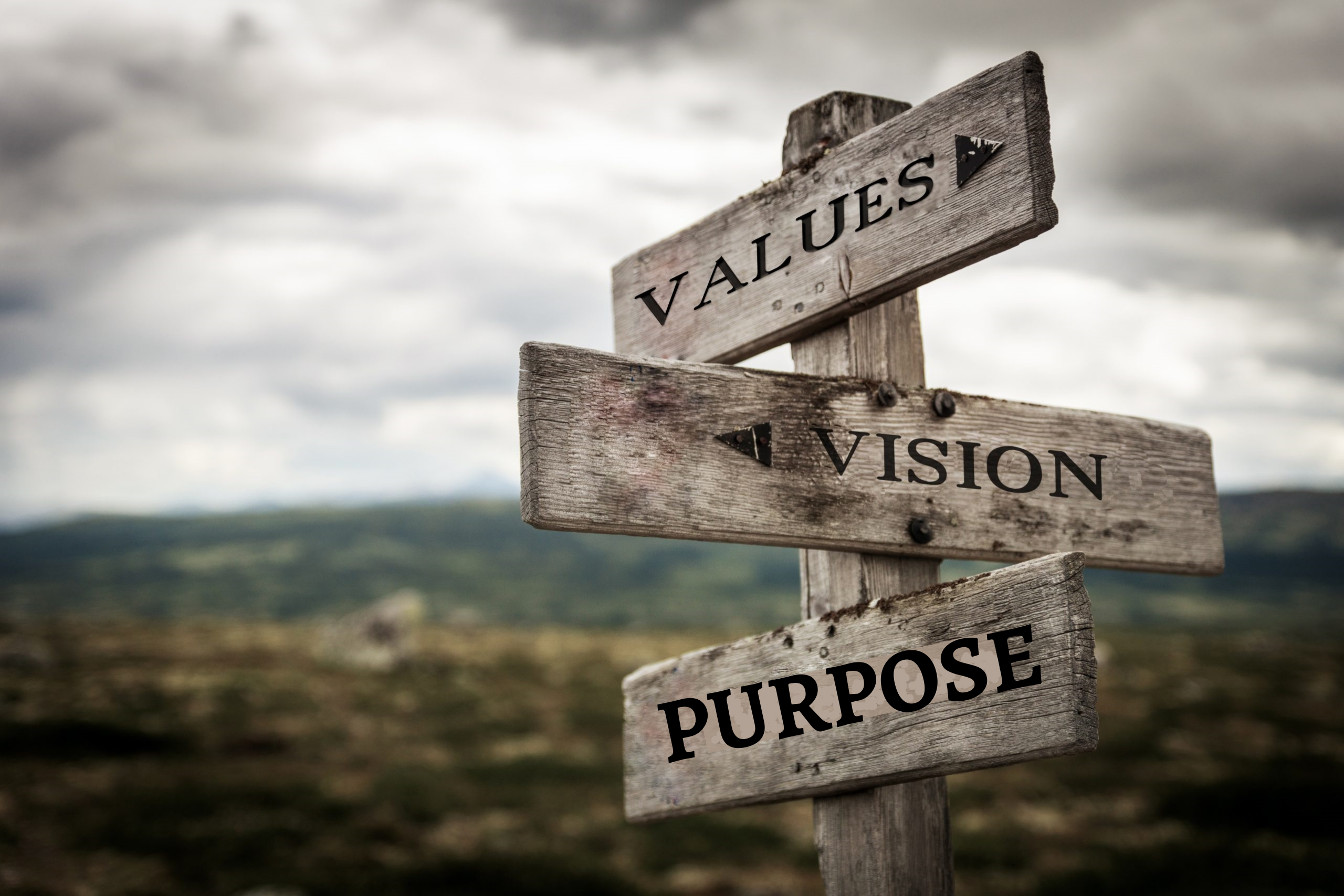 Values Vision Purpose